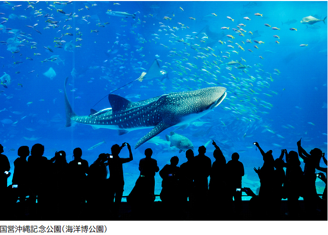 01 美ら海水族館J